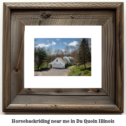 horseback riding near me in Du Quoin, Illinois